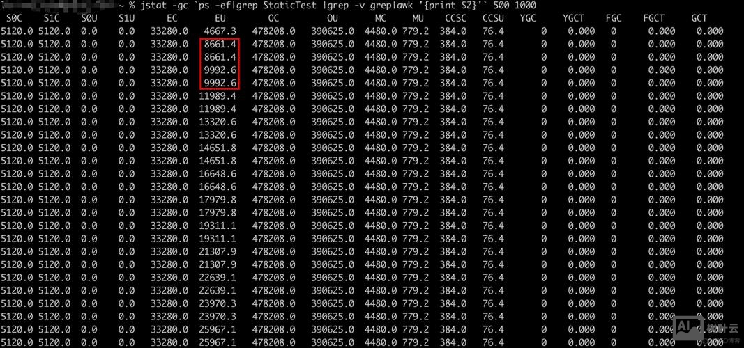 java 命令行 内存监控