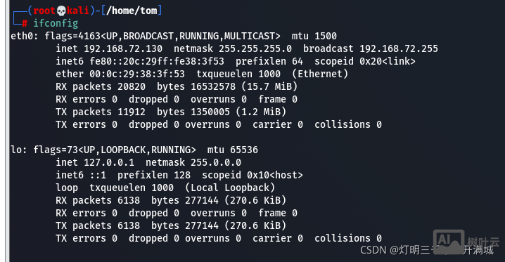 linux常用命令ifconfig