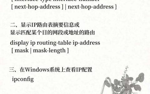 H3C设备命令有哪些常用操作及参数？