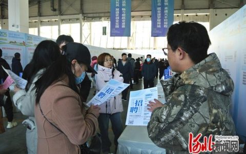 沧州书城招聘，有何岗位要求？