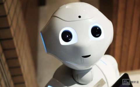 IBM长沙招聘什么岗位？