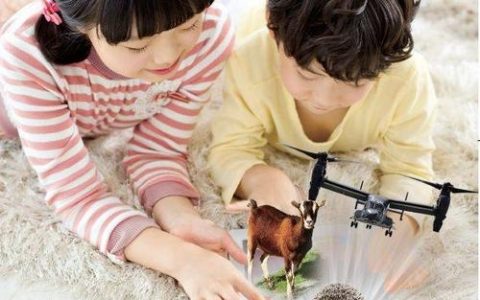 discovery杂志招聘，有何职位要求？