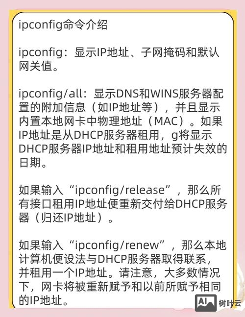 常用网络故障排查命令