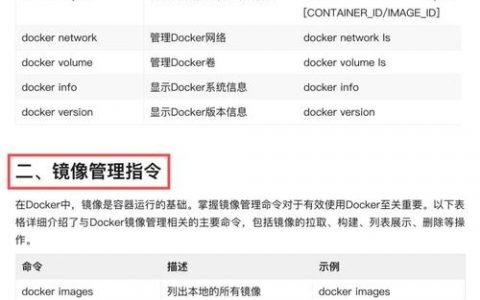 如何向Docker容器内执行命令？