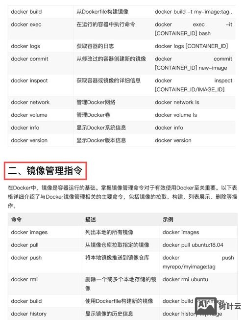 向docker容器执行命令