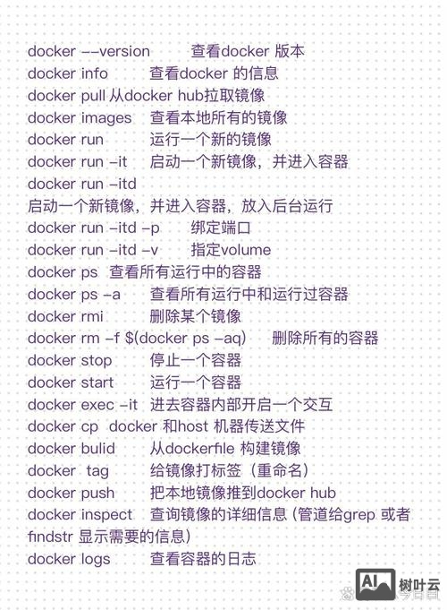 向docker容器执行命令