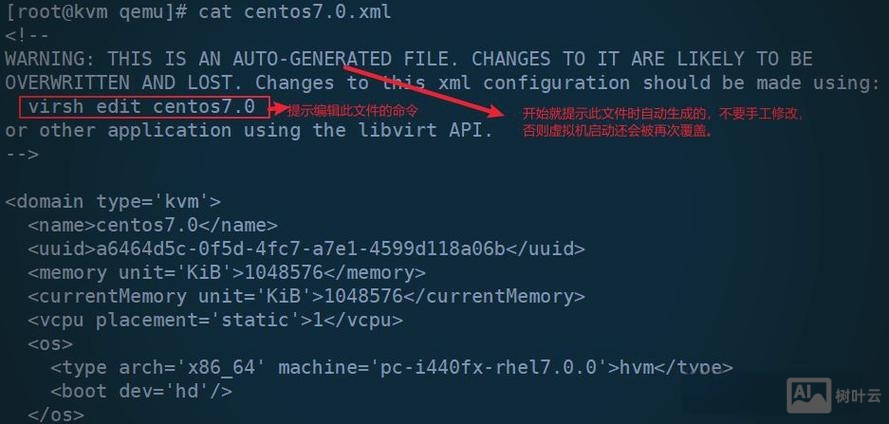 运行虚拟机的命令