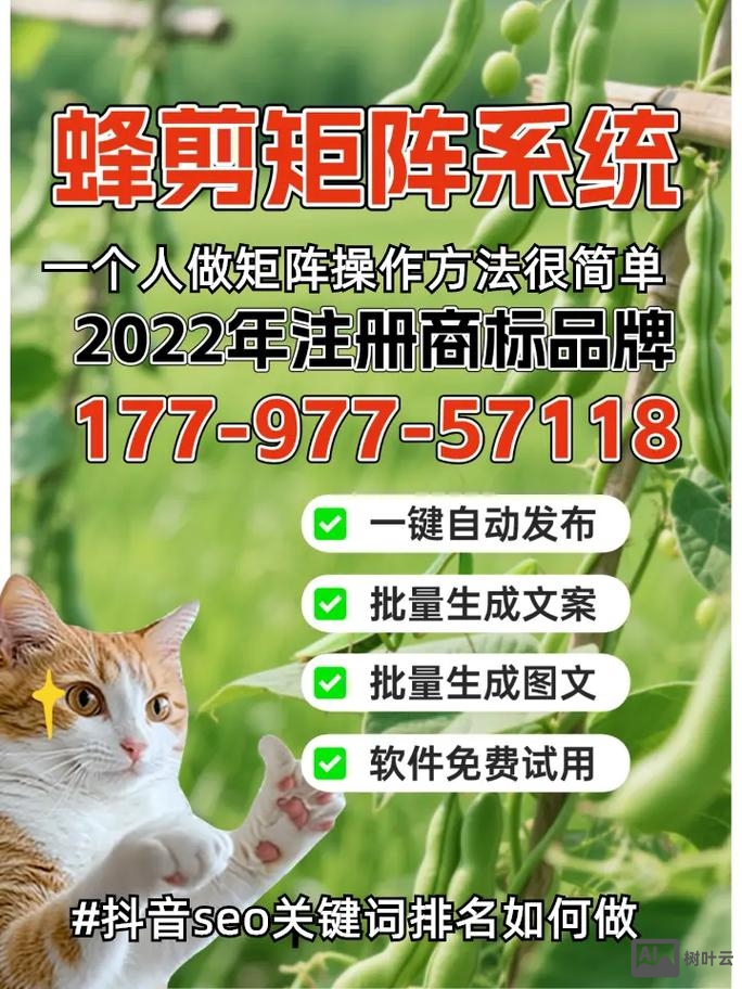 关键词如何做排名