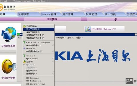 诺基亚网管招聘，要求与待遇如何？