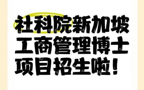 新加坡新科招聘，有哪些岗位要求？