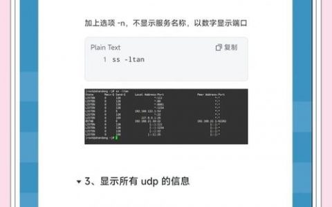 服务器存储查询命令有哪些常用类型？