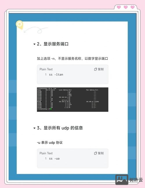 服务器存储查询命令