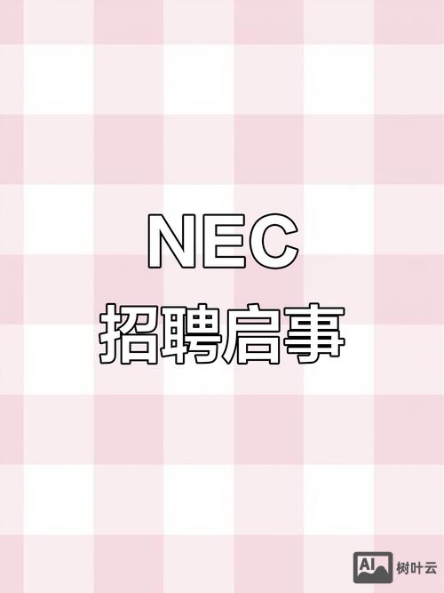 厦门nec招聘