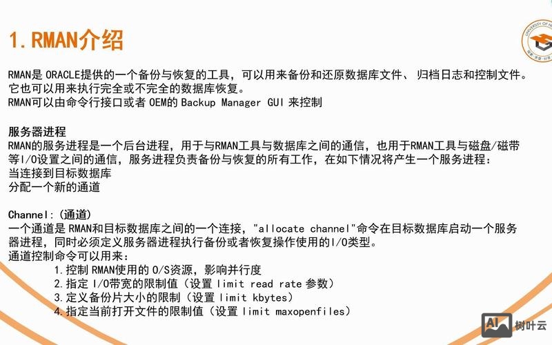 数据库恢复命令