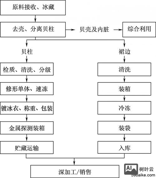 扇贝加工招聘