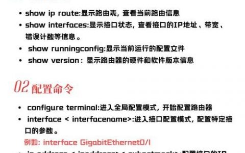 思科路由器命令如何强制执行？