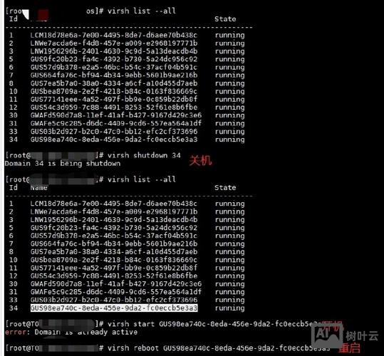 虚拟机中cp命令