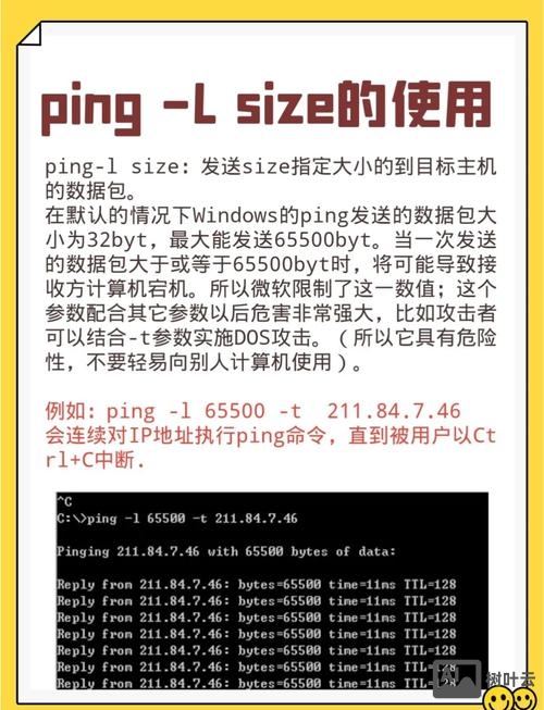 看自己电脑ip的命令