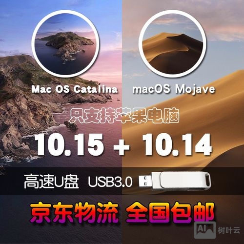 苹果系统u盘制作命令