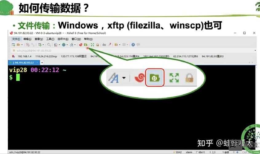 登录服务器的命令