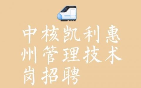 Otis IT招聘有何具体岗位要求?