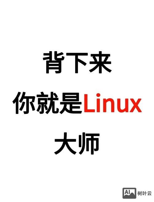 linux xv命令什么意思