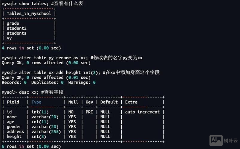 导出数据库的命令