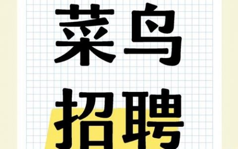 菜鸟WMS招什么样的人？