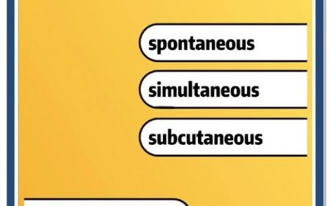 英语名词加s还是es，何时加es？