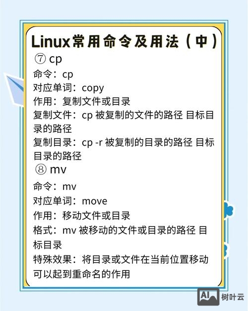 linux基本命令实验