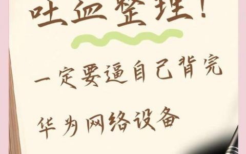 华为路由器命令有哪些常用功能？