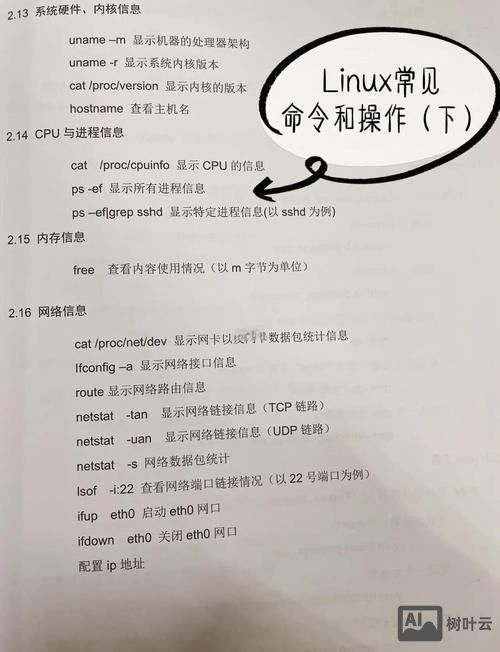 Linux基本命令有哪些？如何快速掌握使用？ - 树叶云