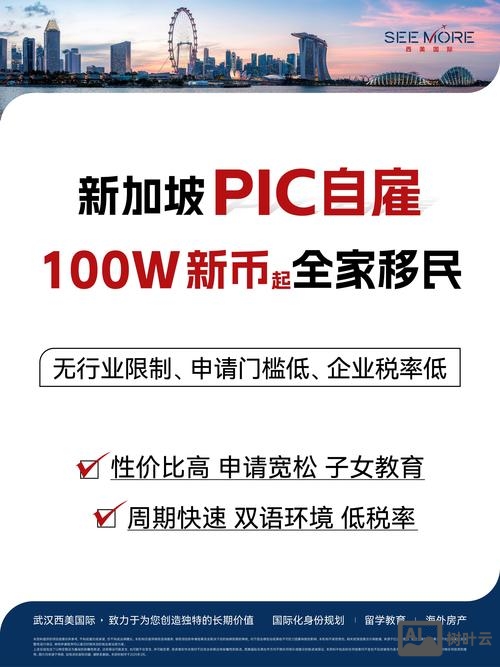 新加坡skyworks招聘