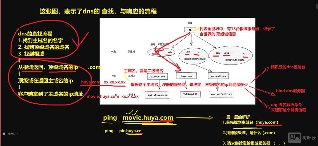 如何区分网络名和域名