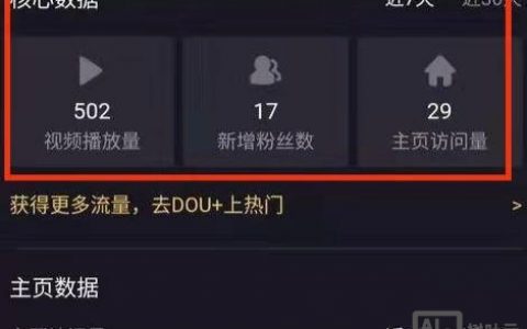 网站总访问量在哪里查？