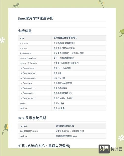 怎么查本机配置命令