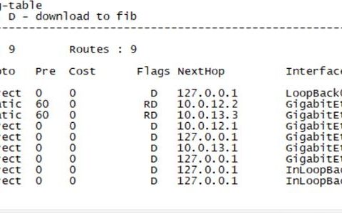 路由器映射命令具体怎么操作？