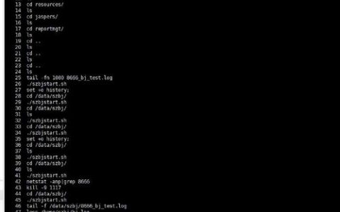如何安全退出Linux命令行？