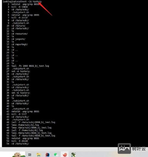退出linux命令行