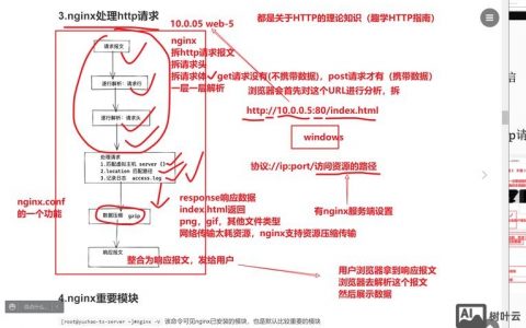 命令行如何重启nginx？