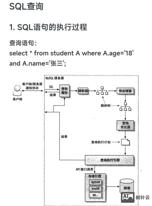 如何查看mysql数据库密码