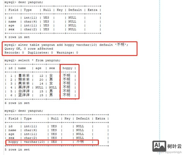 mysql命令数据库