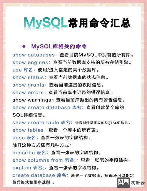 mysql命令数据库