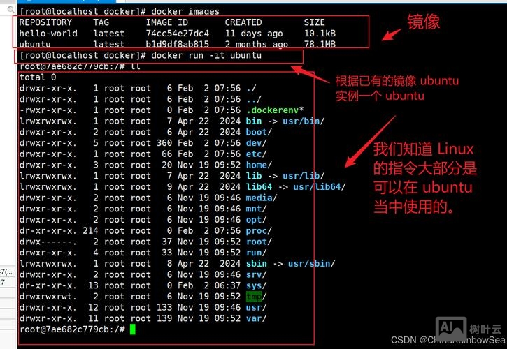 docker 容器 调用命令