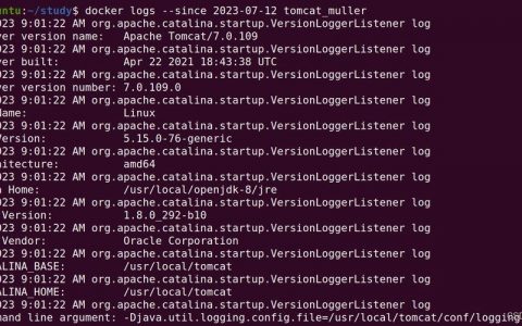 Docker MySQL命令行如何连接与操作数据库？