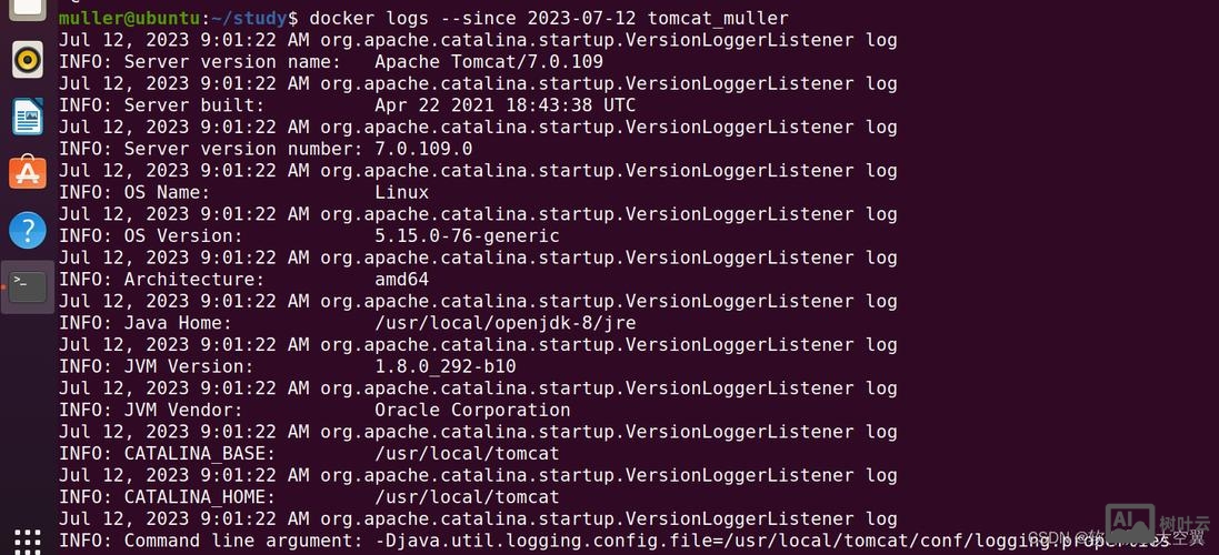 docker mysql 命令行