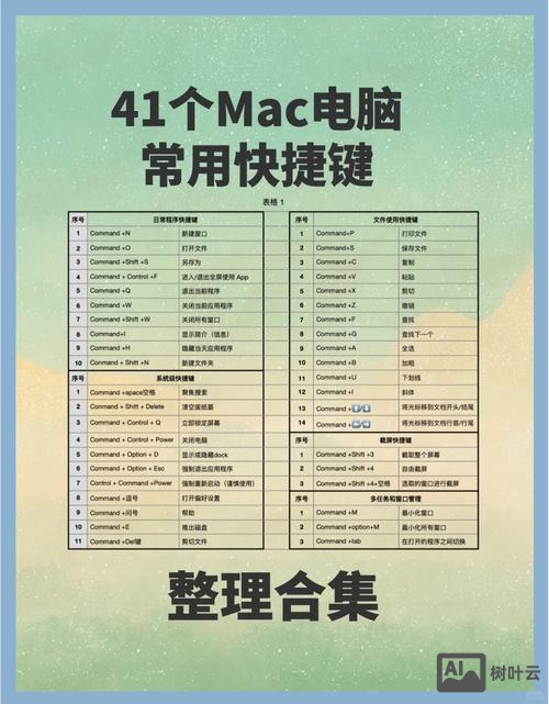 mac 命令行 搜索