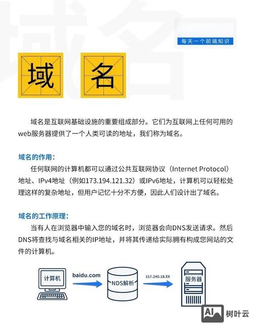 查看域名解析 命令