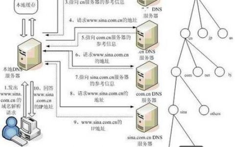 如何查看域名解析命令？