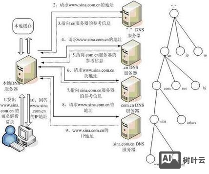 查看域名解析 命令